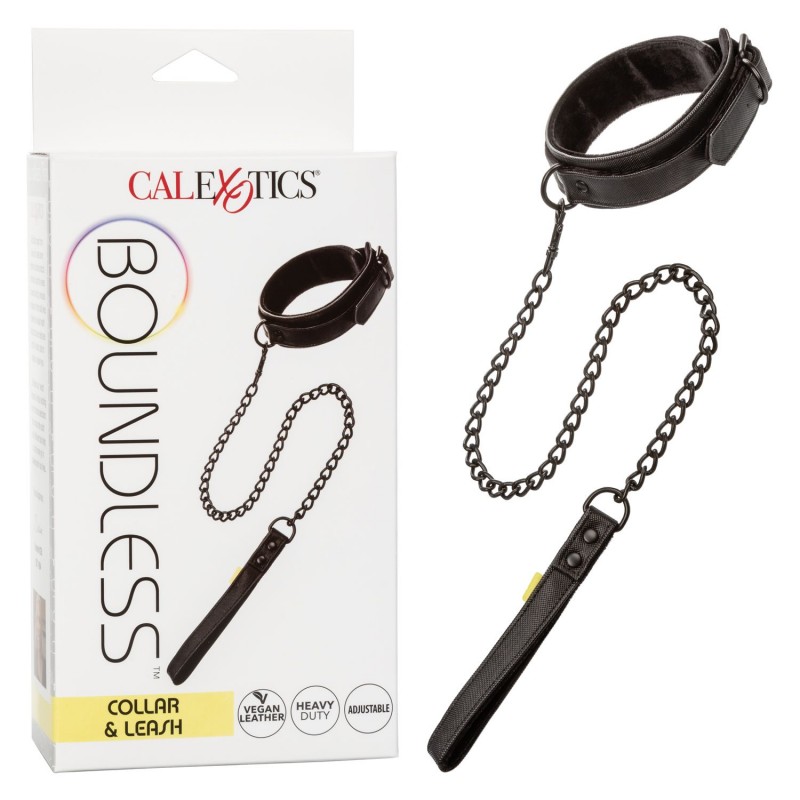 Boundless Collar and Leash